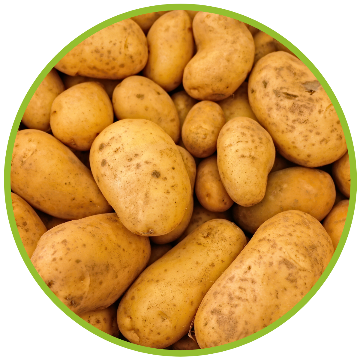 Kartoffeln aus eigenem Anbau 